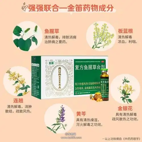 康恩贝 金笛 复方鱼腥草合剂 10ml*6瓶/12瓶/盒