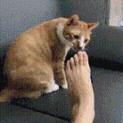 春日cityhappy计划##搞笑