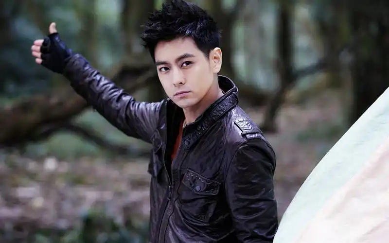 桌面壁纸 明星图片 > 正文  本文 帅气男神林志颖图集_好看的林志颖由