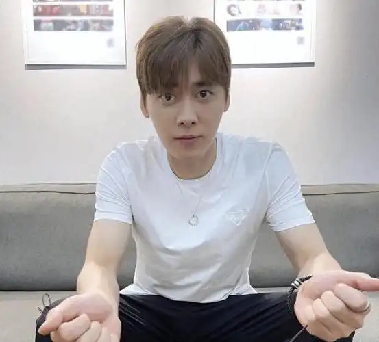 失落与复兴:李易峰的娱乐之旅