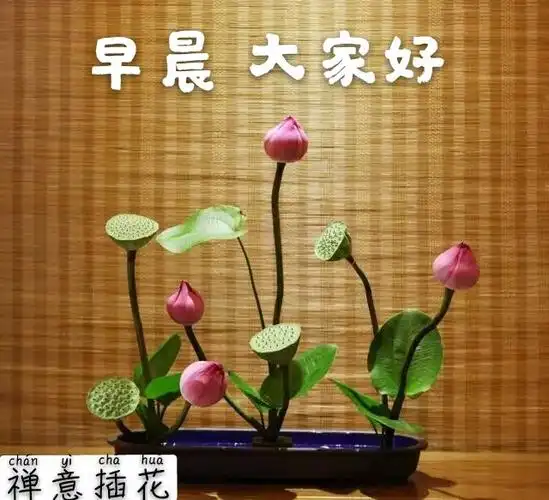 大家早上好图片