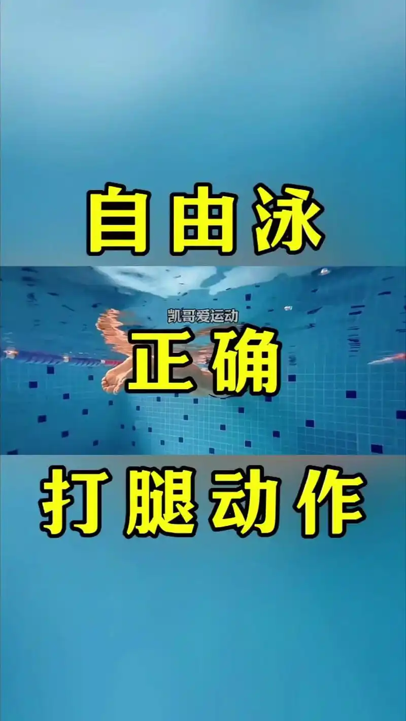 90自由泳打腿动作教程.