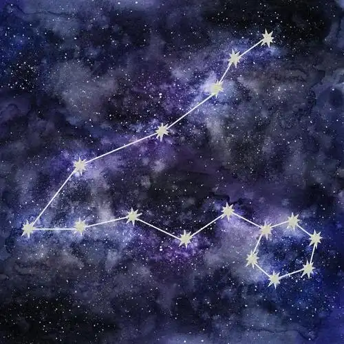 作为水象星座中的代表,双鱼座常常被认为是情感的守护者和梦幻的追求