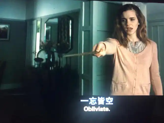 赫敏让父母忘记自己需要多大的勇气