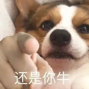 狗狗指人表情包[被指到的替我加班]