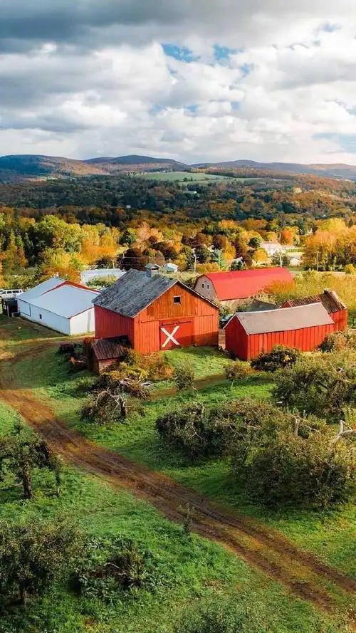超美秋日落叶风景手机壁纸