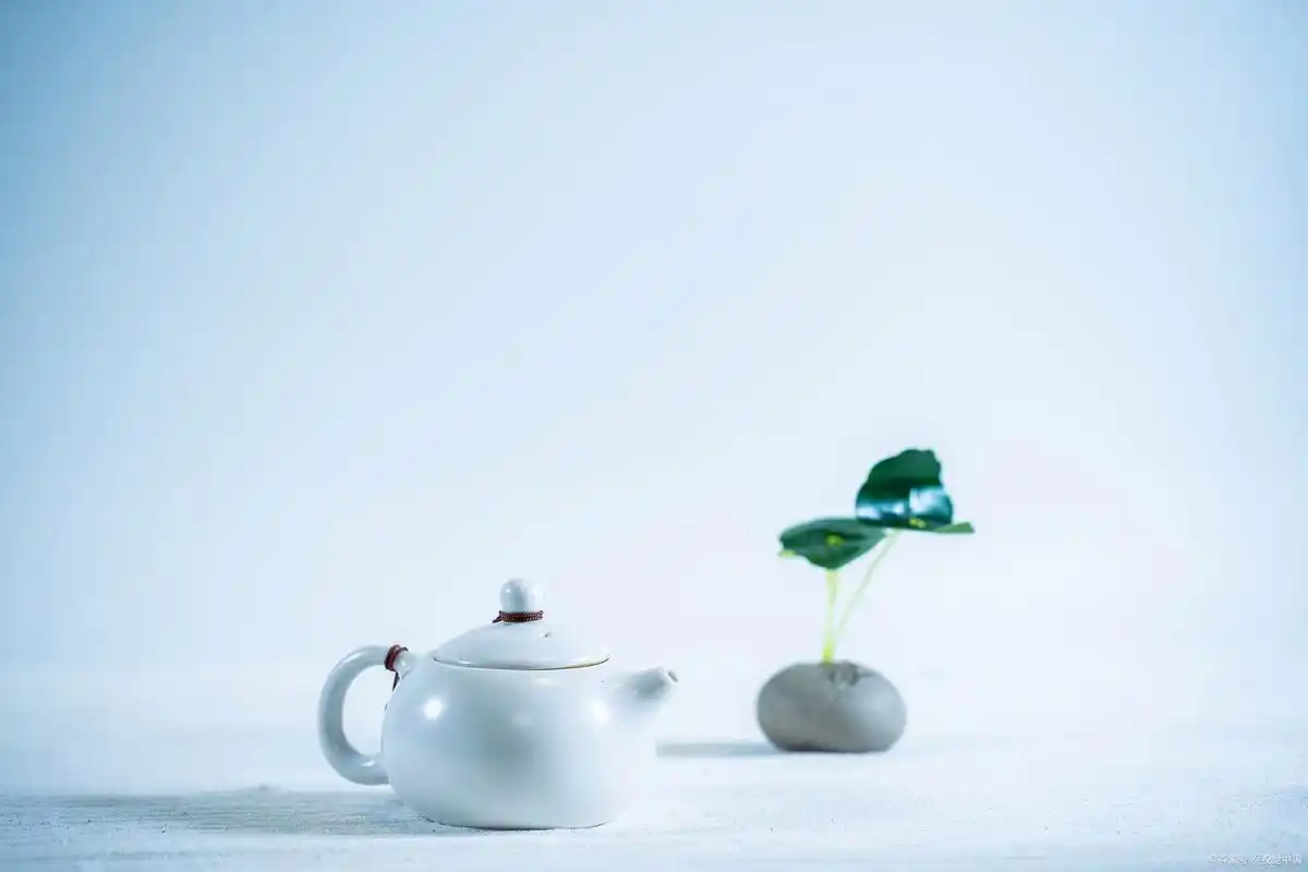 静心修行,自省反思,唯有心静,才能得到清晰的认知与智慧的启示