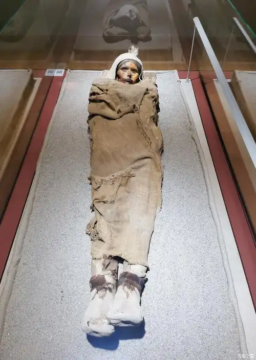 2000多年的干尸楼兰姑娘