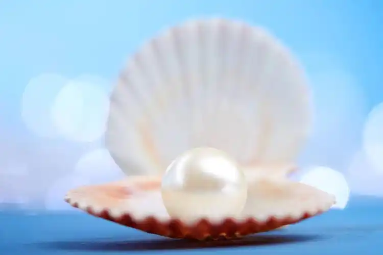 沉睡的砂砾珍珠