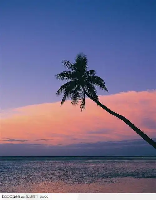 素材公社小编采集到风景这边独好