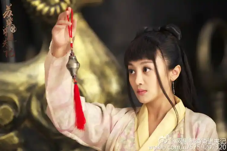 《苏染染追夫记》是北京壹加传媒有限公司承制的古装武侠网络剧,由 a