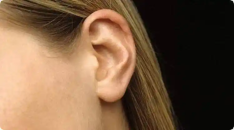 耳朵在五行上的区分耳朵与我们的命运息息相关,耳朵的形状与色泽直接