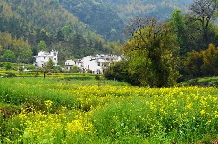 最美乡村,梦里老家
