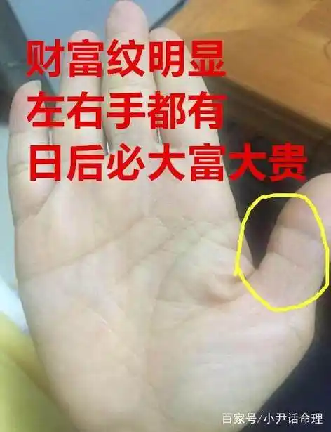 2018有横财的生肖_什么手相男人晚年有横财_马上发大横财的手相