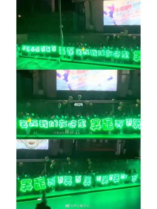 给他最好的应援属于吴磊的一片绿海