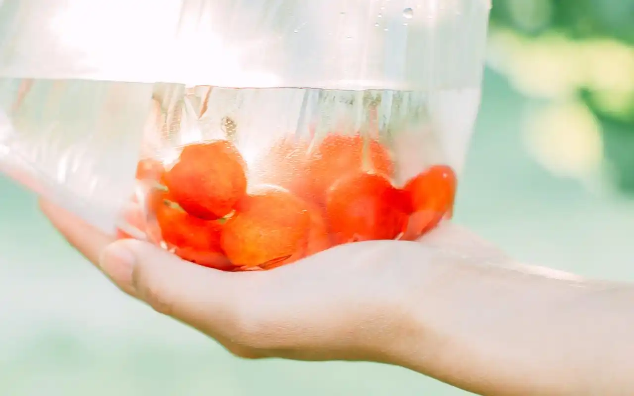 夏日小清新唯美静物图片桌面壁纸