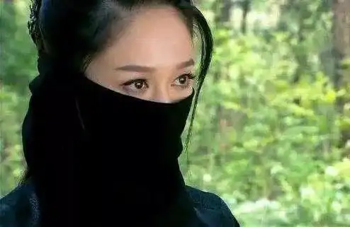 黑衣古装女明星(女星穿黑衣古装蒙面)(4)