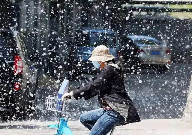 北京今年杨柳飞絮时间约50天,点燃杨柳絮引发火灾将承担什么法律责任?