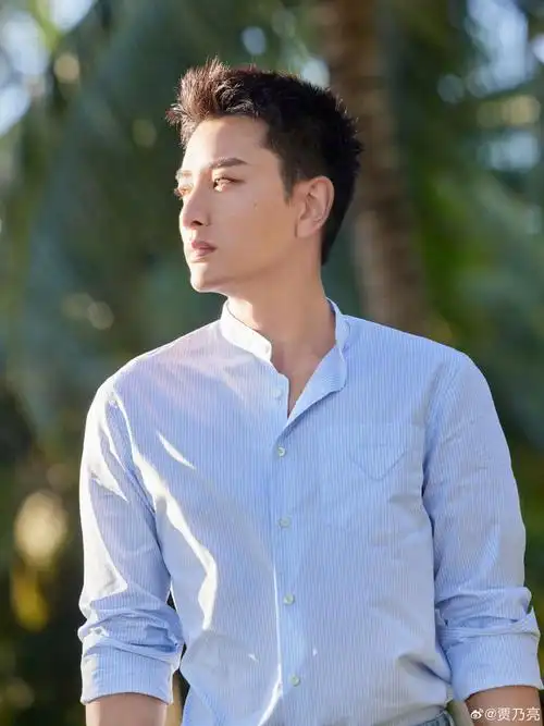 贾乃亮的这组照片,眼神里满满的惆怅与失意