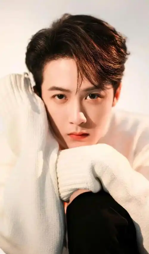 内娱男艺人新格局肖战第二梯王一博第三梯成毅邓为等第四梯