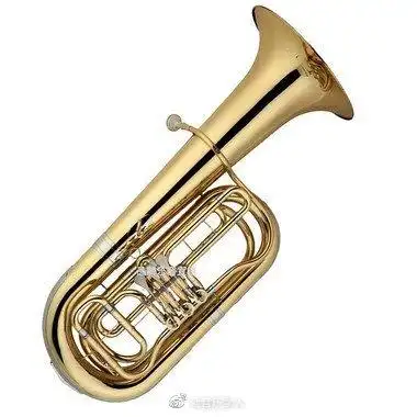 113西洋乐器篇大号