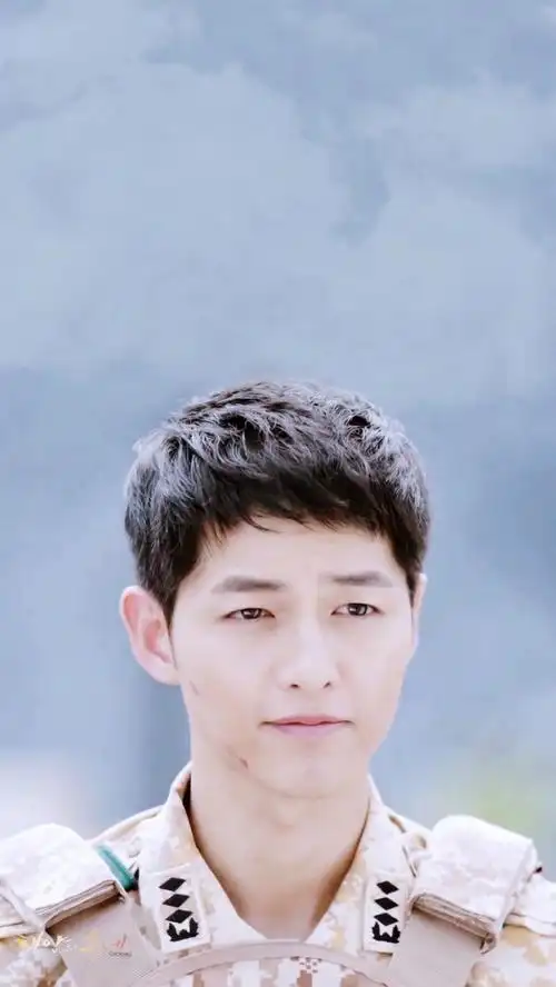 太阳的后裔 宋仲基 cr:见logo