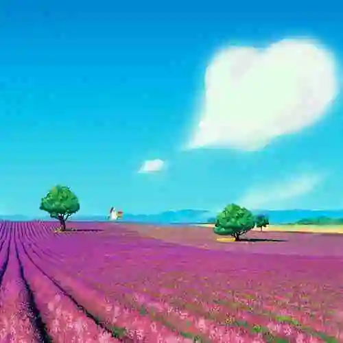 薰衣草花海薰衣草自然风景桌面壁纸薰衣草头像:唯美梦幻薰衣草