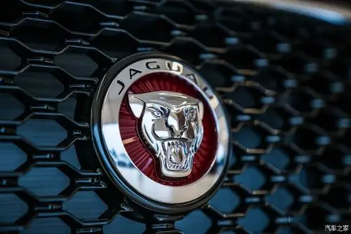黑底亮银的车标在黑色中网衬托,一种经典名贵的气质呼之欲出.