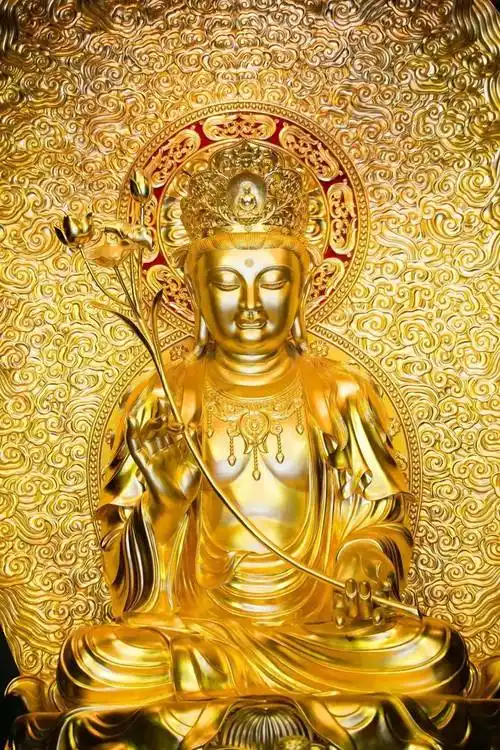 轮回里哪有完美,所以他们决心改变_菩萨_众生_凡夫