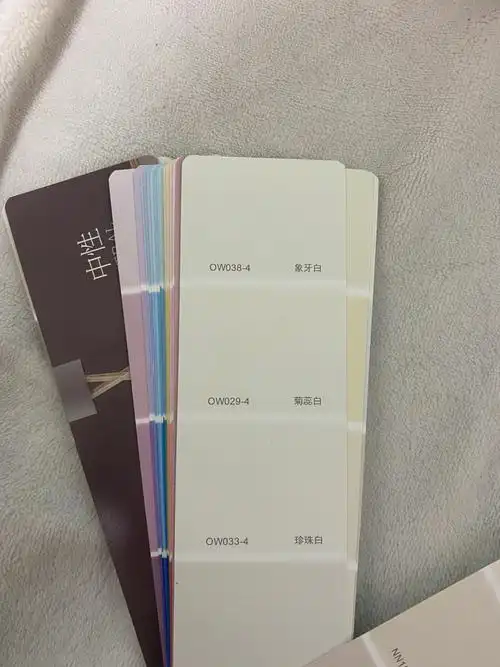 嫂子叫我自己房间选一个颜色,给我看色卡,我都看花眼了,小红书很多