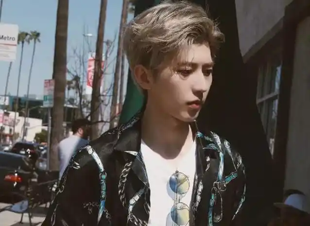 赌一包辣条!4位姓蔡的明星,00后只认识蔡徐坤!