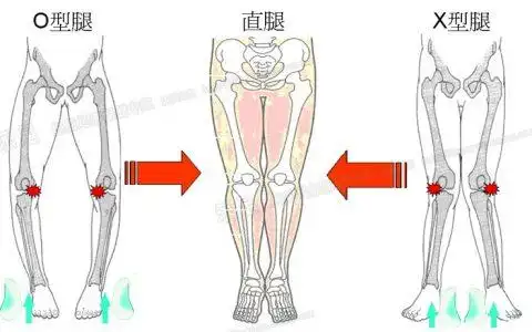 兔年生人2023年运势运程,2023年生肖运势大全