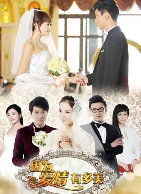 2019因为爱情有多美(dvd版)主演:海陆蒋毅彭冠英赵韩樱子李泰张含韵