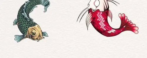 手绘亚洲风鲤鱼插画ai素材