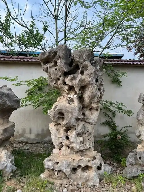 太湖石造景必备