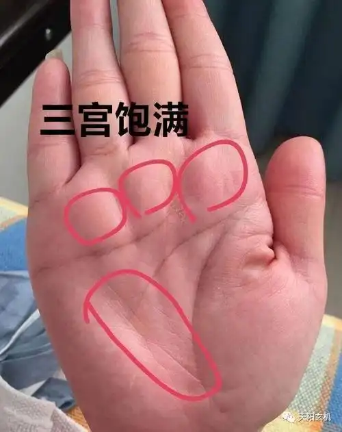 手相看自己有多少房产_(看掌纹算命图解 女性能看到有几套房产吗)