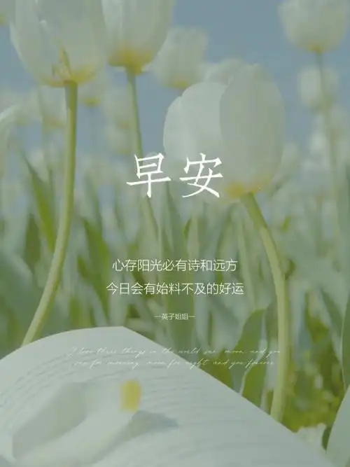 朋友圈正能量文案早安日签海报今日营业