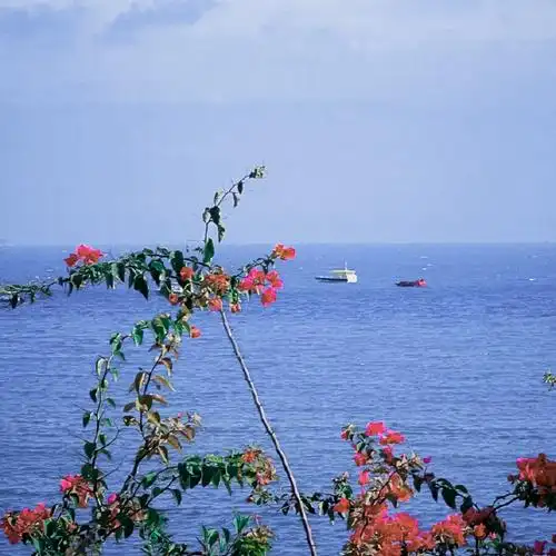 王源晒春日海边风景照