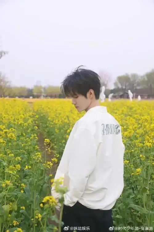张真源油菜花田照#张真源春日油菜花田照好温柔啊,春天适合见面8