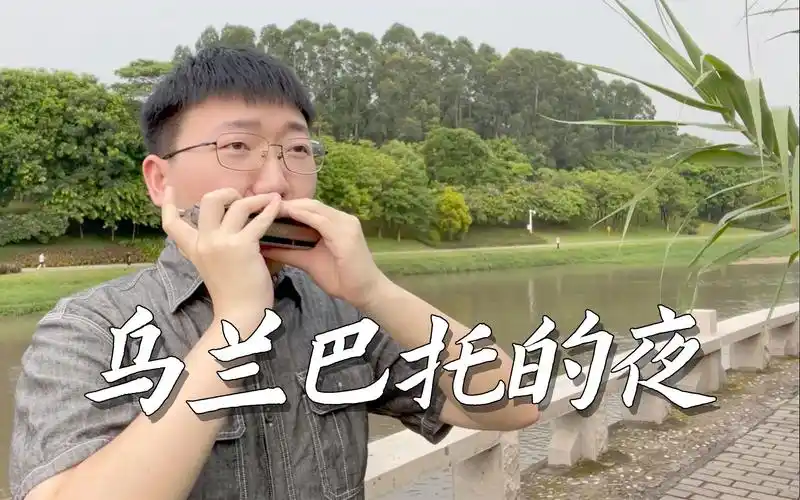 超好听口琴版!乌兰巴托的夜·蒋敦豪 姜博文口琴