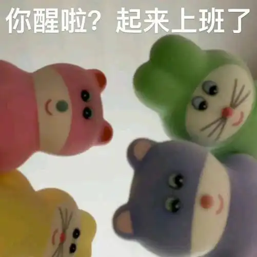 热门表情包你醒啦起来上班了拿图点赞吱声