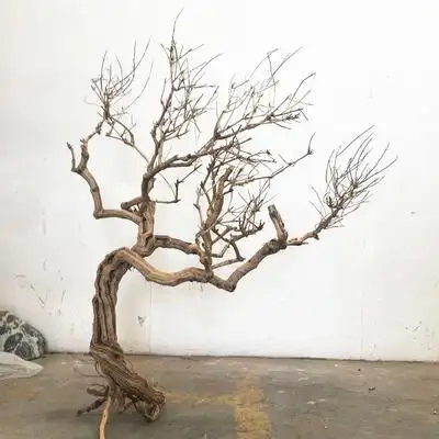 花舍景观装饰造型树枯木装饰落地摆件树干创意艺术橱窗禅意干枝