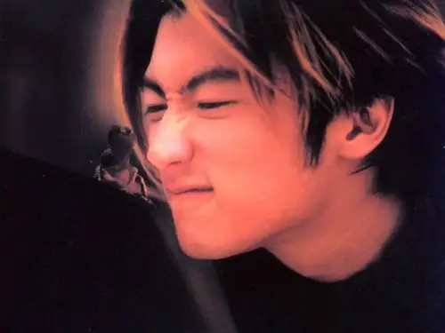 找一张谢霆锋的图片