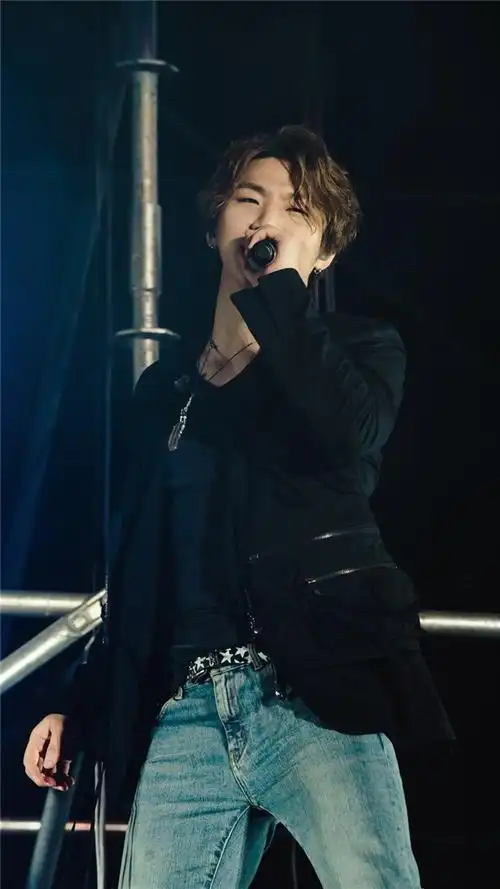 帅气bigbang演唱会手机壁纸bigbang权志龙top太阳韩国明星帅哥明星