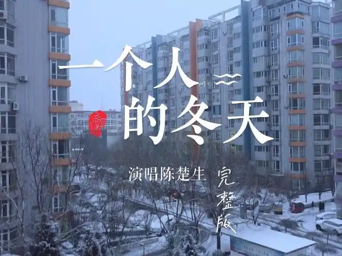 陈楚生一个人的冬天优野音乐混剪