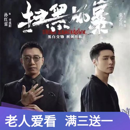 居道dvd电视剧高清反腐犯罪侦查破案电视剧优盘扫黑风暴u盘碟片光盘