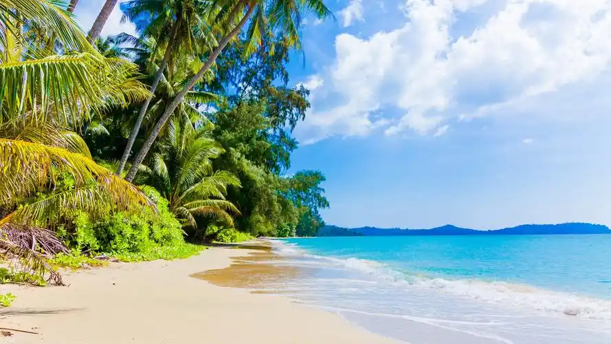 壁纸 海滩,棕榈树,蓝色的大海,天空,云彩,热带 3840x2160 uhd 4k 高清