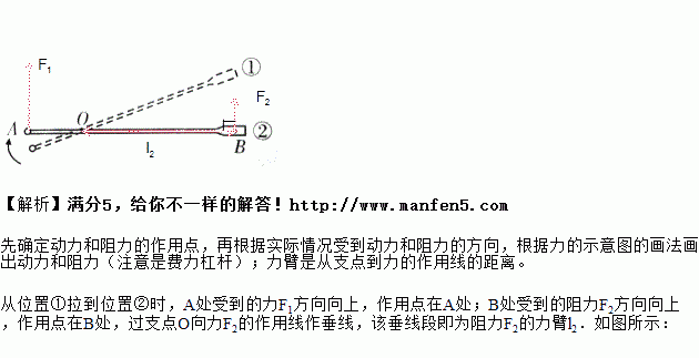 赛艇的船桨是费力杠杆.