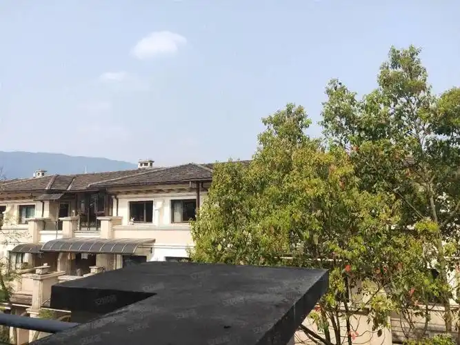 龙湖紫云台一组团别墅6室3厅5卫369㎡东南390万