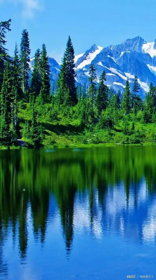 在青山间游走在绿水间滞留手机壁纸